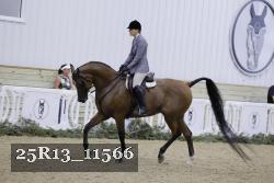 25R13_11566 thumbnail