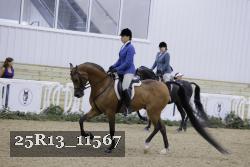 25R13_11567 thumbnail