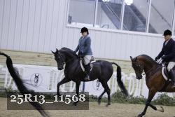 25R13_11568 thumbnail
