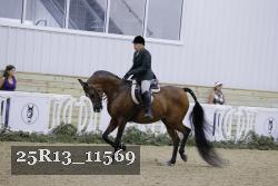 25R13_11569 thumbnail