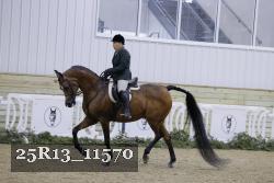 25R13_11570 thumbnail