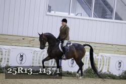 25R13_11571 thumbnail