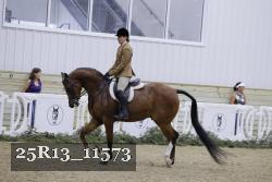 25R13_11573 thumbnail
