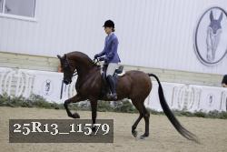 25R13_11579 thumbnail