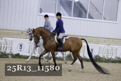 25R13_11580 thumbnail