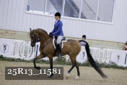 25R13_11581 thumbnail