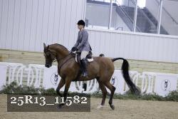 25R13_11582 thumbnail