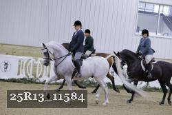 25R13_11584 thumbnail