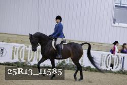 25R13_11585 thumbnail