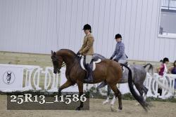 25R13_11586 thumbnail