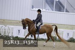 25R13_11587 thumbnail