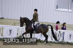 25R13_11588 thumbnail