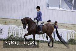 25R13_11589 thumbnail