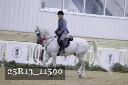 25R13_11590 thumbnail