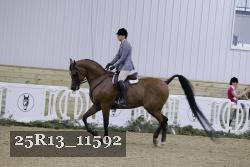 25R13_11592 thumbnail