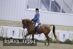 25R13_11594 thumbnail