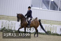 25R13_11596 thumbnail