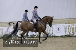 25R13_11597 thumbnail