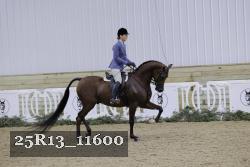 25R13_11600 thumbnail
