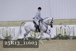 25R13_11603 thumbnail