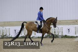 25R13_11604 thumbnail
