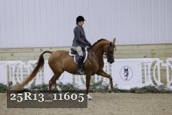 25R13_11605 thumbnail