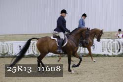 25R13_11608 thumbnail