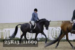 25R13_11609 thumbnail