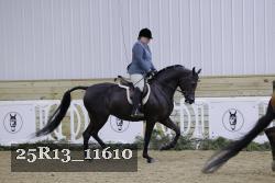 25R13_11610 thumbnail