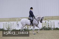 25R13_11612 thumbnail