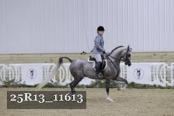 25R13_11613 thumbnail