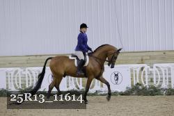 25R13_11614 thumbnail