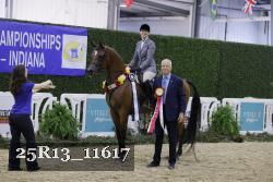 25R13_11617 thumbnail