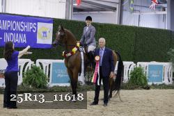 25R13_11618 thumbnail