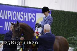 25R13_11620 thumbnail