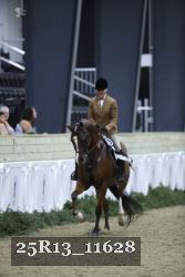 25R13_11628 thumbnail