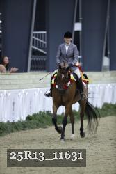 25R13_11631 thumbnail