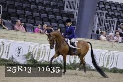 25R13_11635 thumbnail