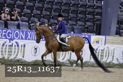 25R13_11637 thumbnail