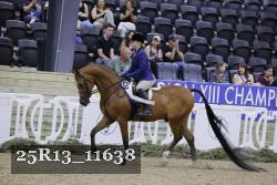 25R13_11638 thumbnail