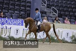25R13_11642 thumbnail