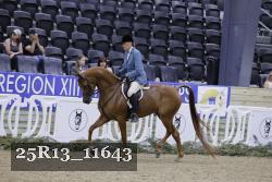 25R13_11643 thumbnail