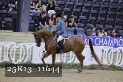 25R13_11644 thumbnail