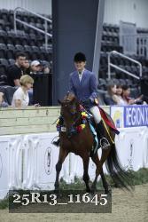 25R13_11645 thumbnail