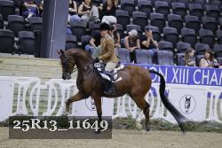 25R13_11649 thumbnail