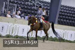 25R13_11650 thumbnail