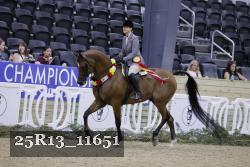25R13_11651 thumbnail