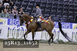 25R13_11652 thumbnail