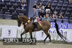 25R13_11653 thumbnail