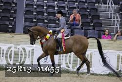 25R13_11655 thumbnail